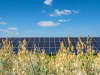 sistemi agro-fotovoltaici